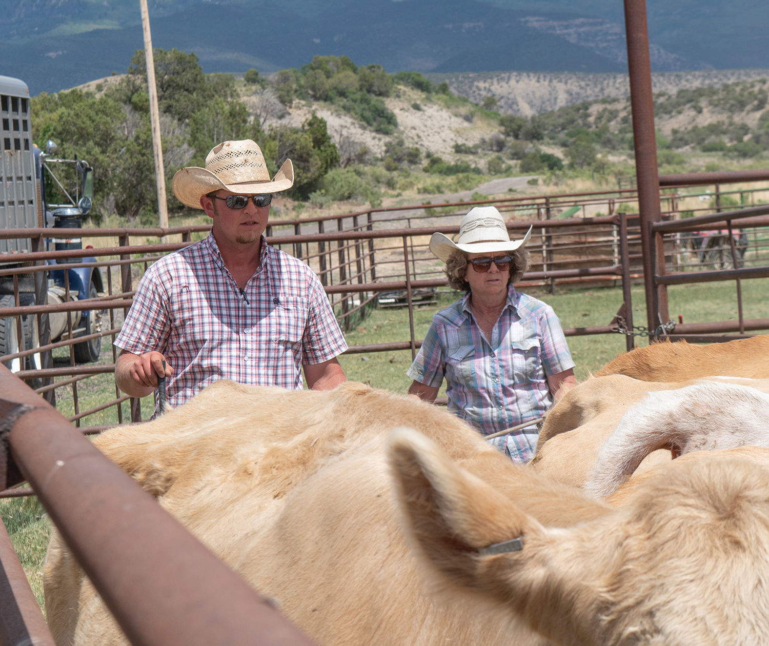Life at the Van Winkle ranch